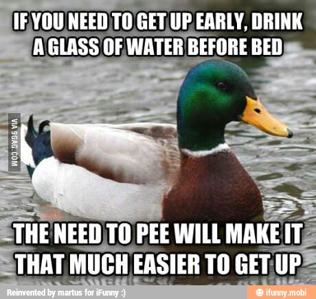 IFYOU NEED TO
GET UP EARLY, DRINK
GLASS OF WATER BEFORE BED
ETHE NEED TO PEE WILL MANE
IT
STHAT MUCH EASIER TO GET UPS