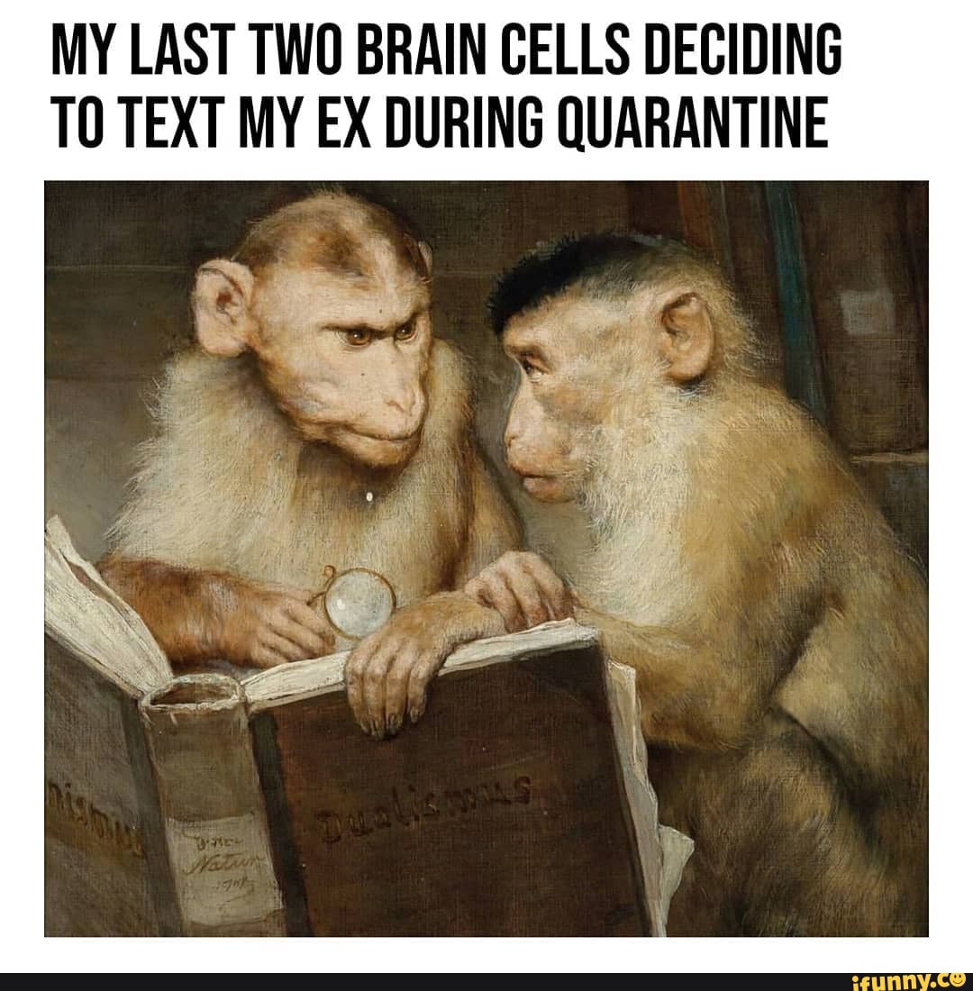 MY LAST TWO BRAIN CELLS DECIDING TO TEXT MY EX DURING QUARANTINE - iFunny