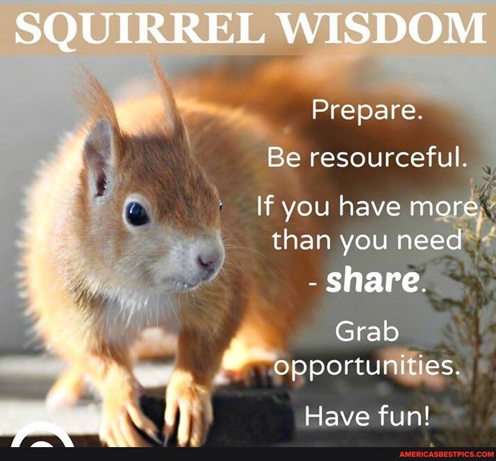 SQUIRREL WISDOM
Prepare.
Be resourceful.
If you have more than you need
- share.
Grab opportunities.
fi Have fun!