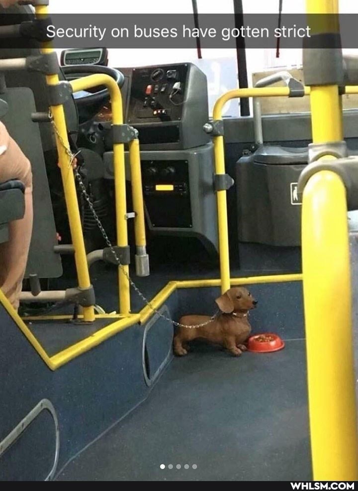 Security on buses have gotten strict
