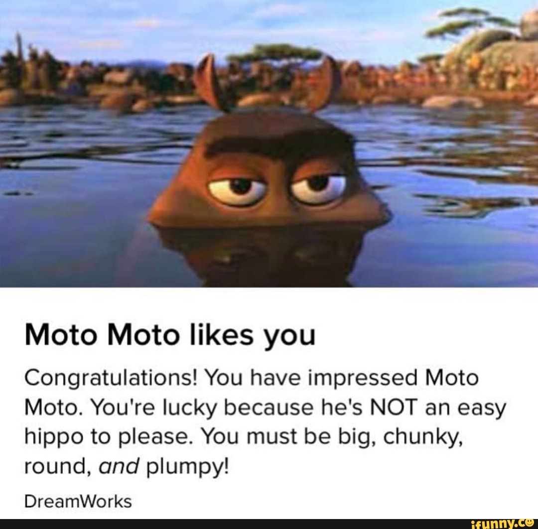 Moto Moto Likes You : r/memes