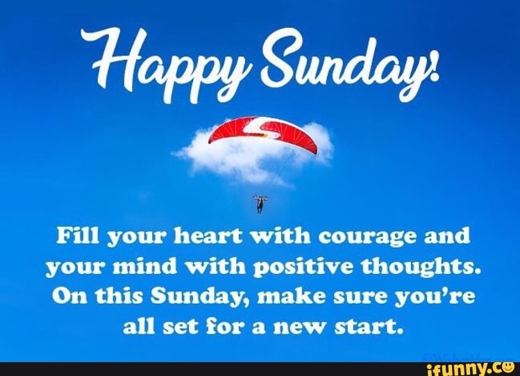 Tappy Sunday:
Fill your heart with courage and
your mind with positive thoughts.
On this Sunday, make sure you're
all set for a new start.