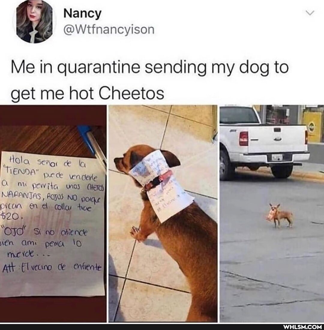 Naney
Me in quarantine sending my dog to get me hot Cheetos
Hola