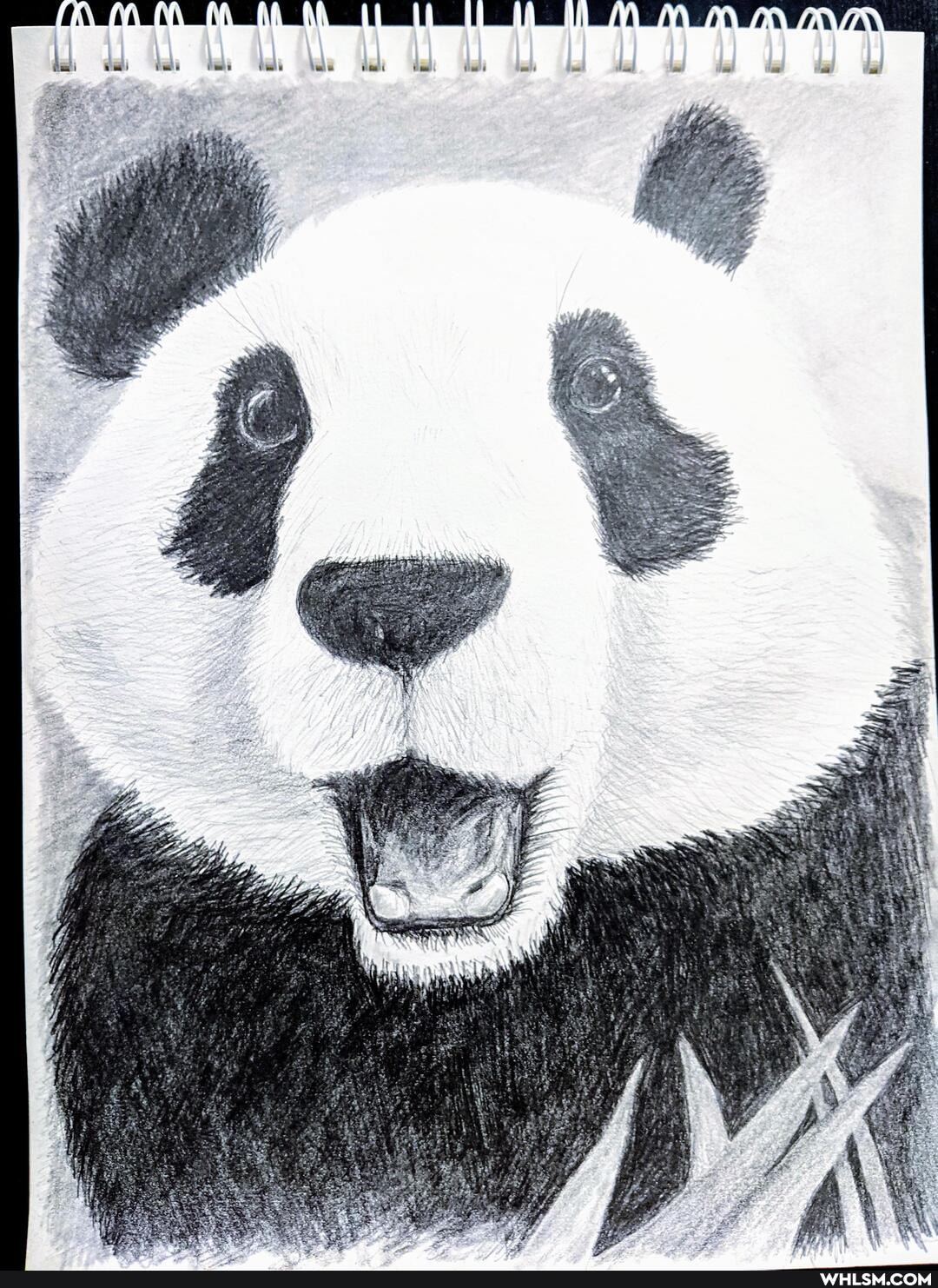 panda, 84, complete