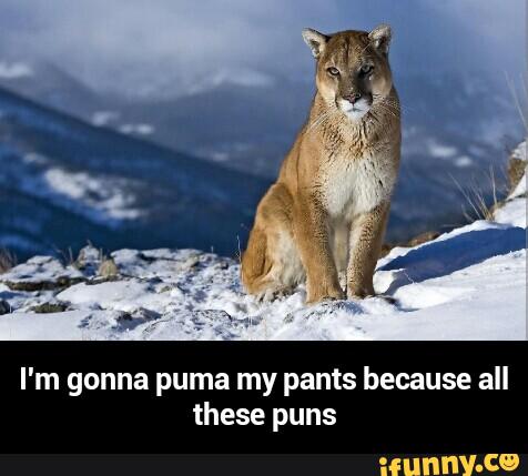 puma my pants