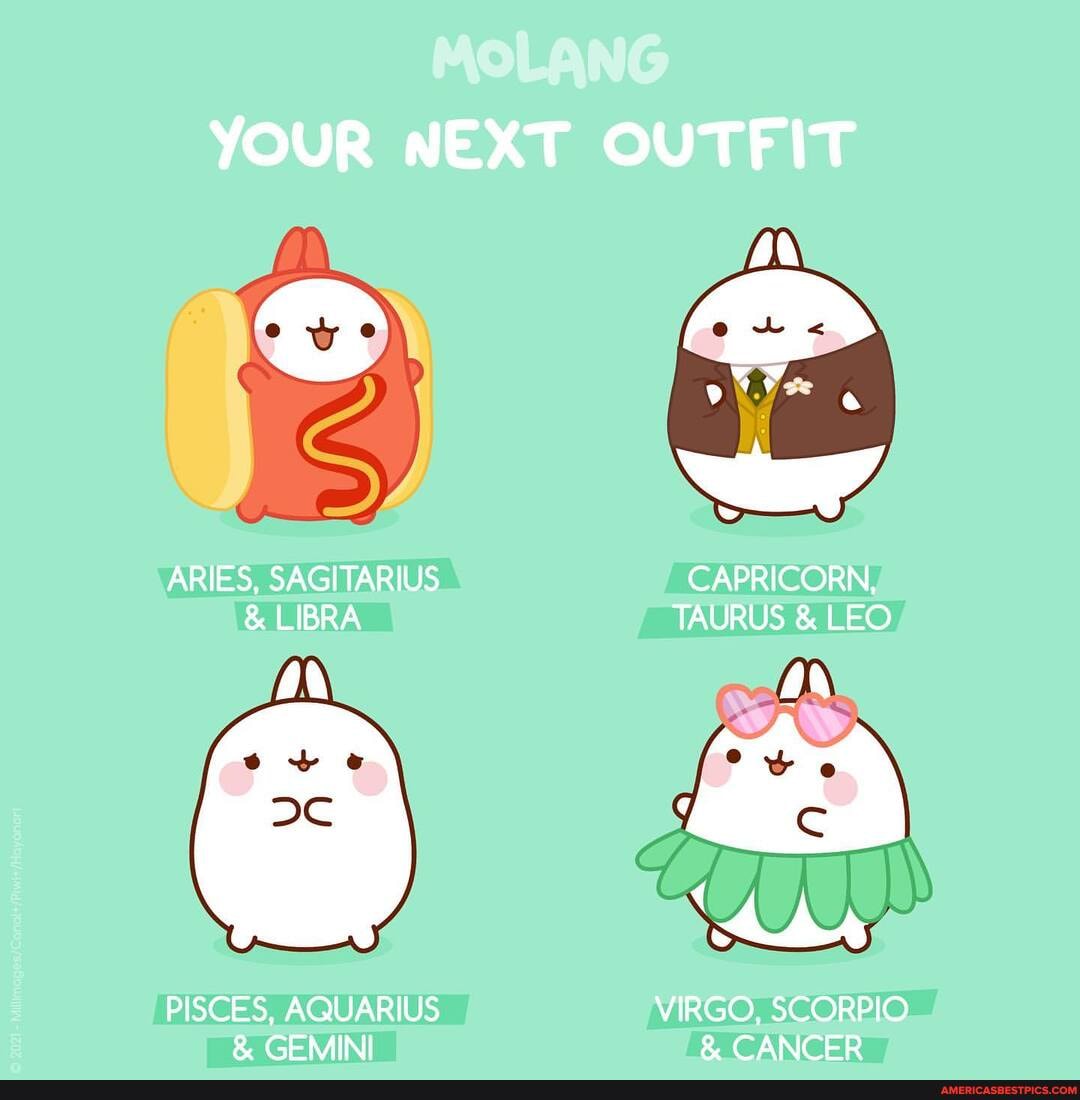 MOLANG
YOUR NEXT OUTFIT
etr a way
ARIES, SAGITARIUS CAPRICORN,
& LIBRA TAURUS & LEO An
PISCES, AQUARIUS VIRGO, SCORPIO
& GEMINI CANCER
