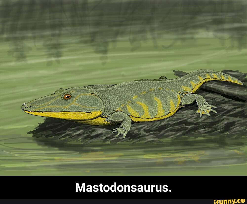 Mastodonsaurus. - iFunny :)