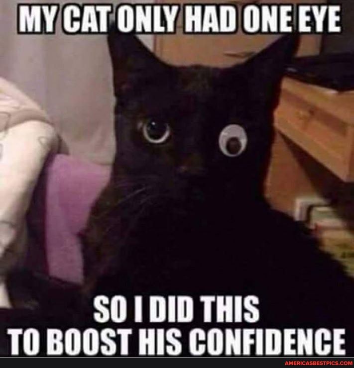 MY CAT ONLY HAD ONE EYE
SOI DID THIS TN RNANCT HIC CONEINENPE