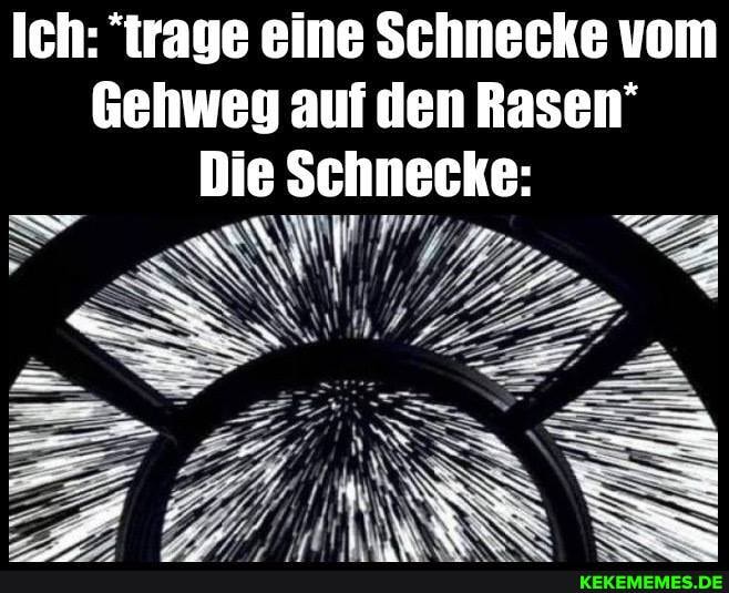 Ich: "trage eine Schnecke vom
Gehweg auf den Rasen'
Die Schnecke:
N\ FR