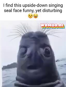 seal singer meme