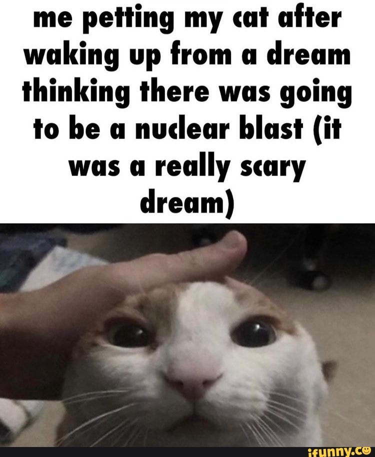 Me Petting My Cat After Waking Up From A Dream Thinking There Was Going To Be A Nuclear Blast It Was A Really Scary Dream