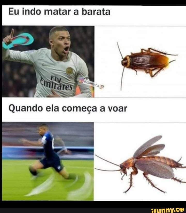 Eu indo matar a barata