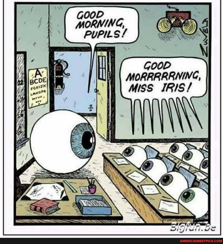 GooD MORNING,
PUPILS /
GooD MORRRRRNING,
Miss IRIS/