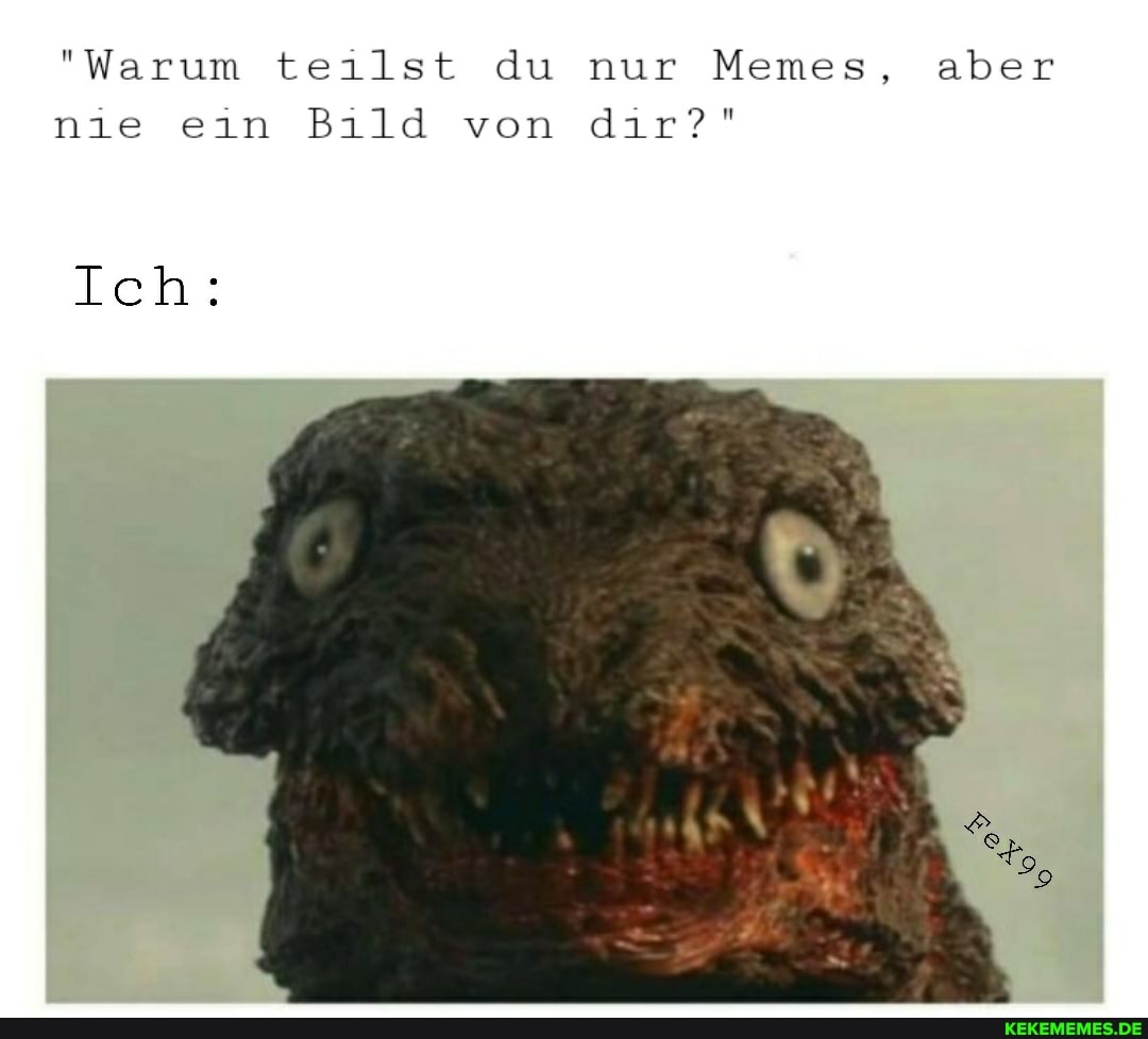 "Warum teilst du nur Memes, aber nie ein Bild von dir?"
Ich:
