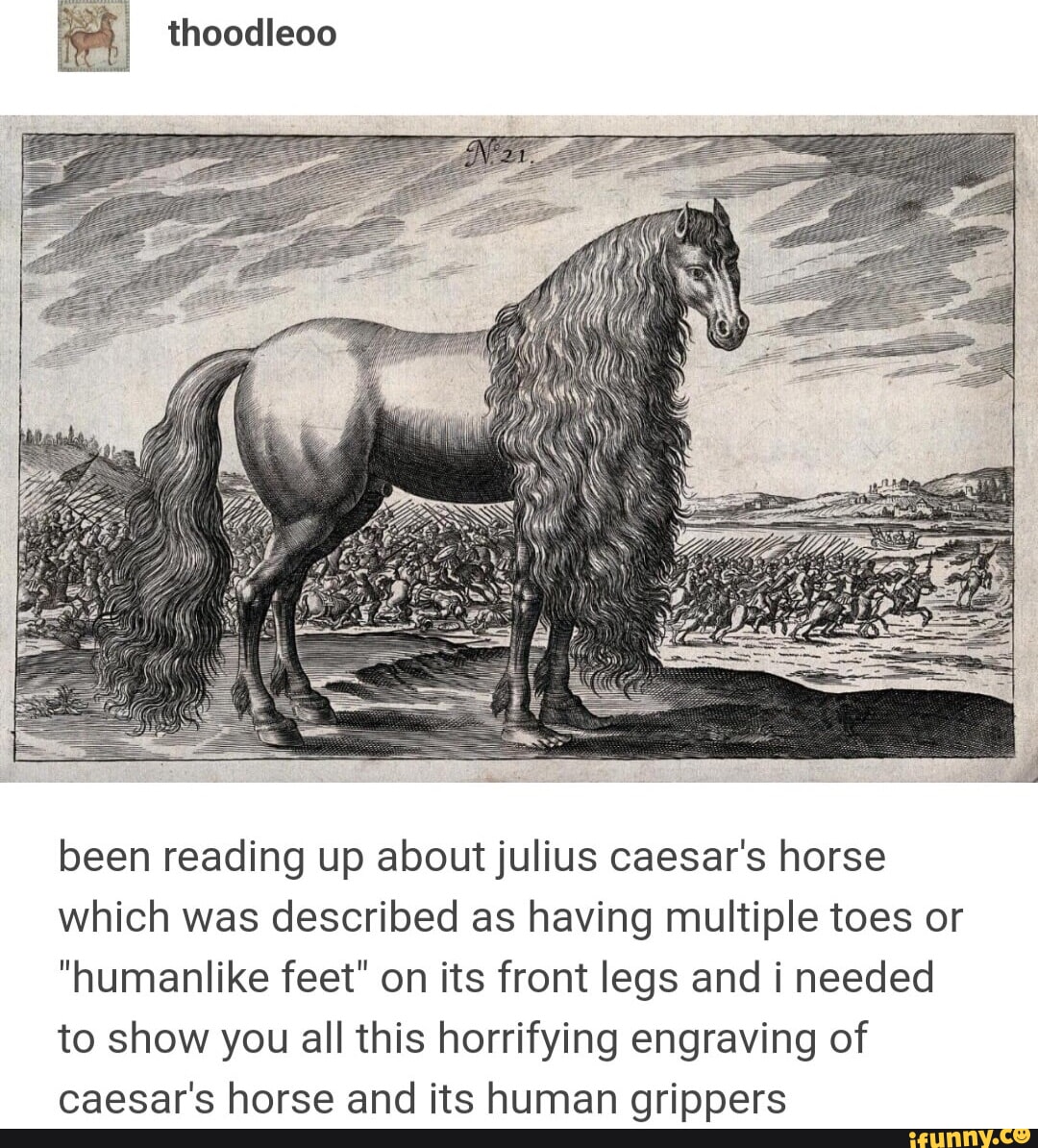 Grippers memes. Best Collection of funny Grippers pictures on iFunny