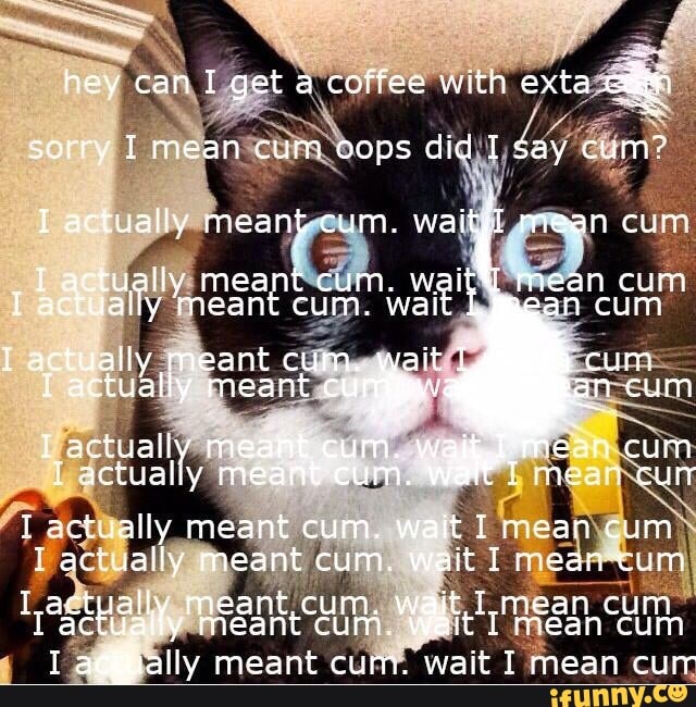 Waityll Memes Best Collection Of Funny Waityll Pictures On IFunny Waityll Memes Best Collection Of Funny Waityll Pictures On IFunny