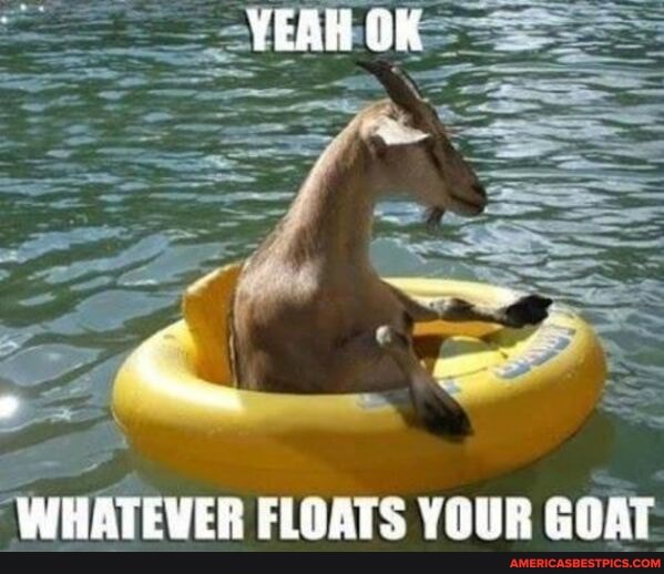 YEAH OK
WHATEVER FLOATS YOUR GOAT