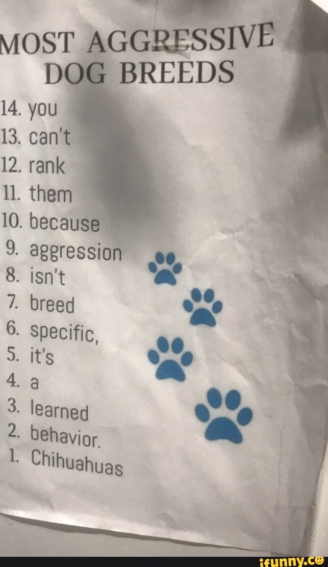 MOST AGGRESSIVE DOG. BREEDS 14, you 13, can't 12. rank them because