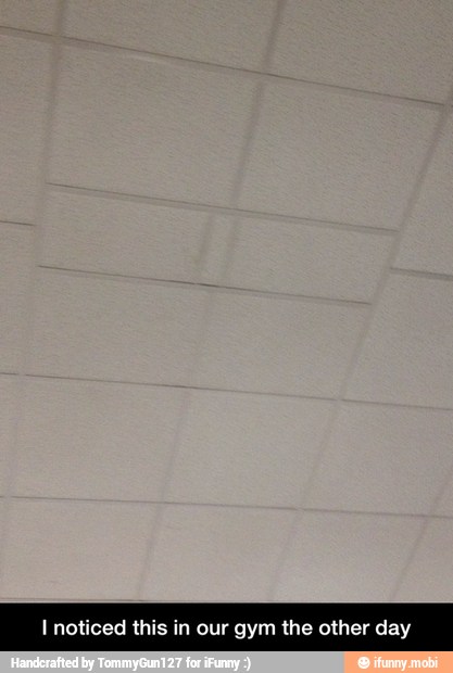 I noticed tl our gym the other day - I noticed this in our gym the other day