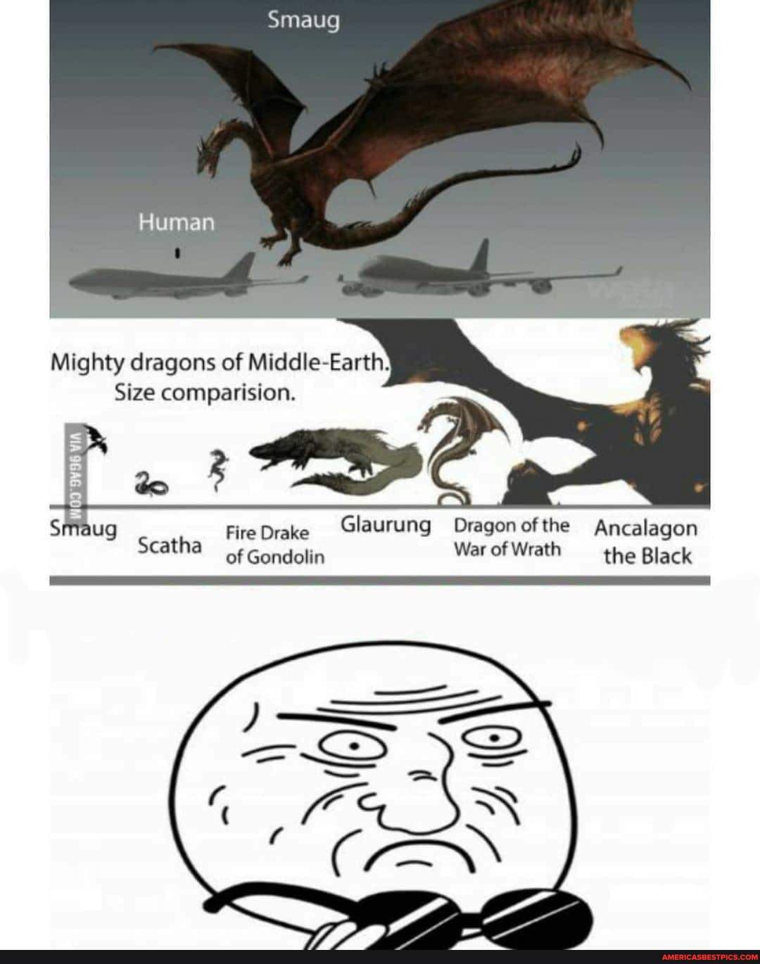 Smaug Mighty dragons of Middle-Earth Size comparision. Fire Drake Glaurung  Dragon ofthe Ancalagon Scatha Gondokn Woe of Wrath the Black MOTHER OF GOD  - iFunny Brazil