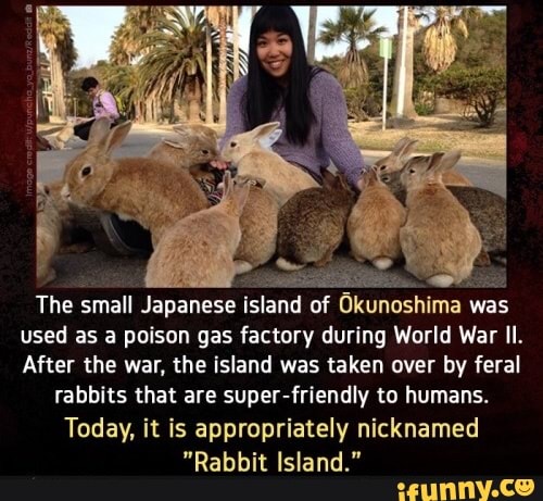 à
es O
The small Japanese island of Okunoshima was
used as a poison gas factory during World War II.
After the war, the island was taken over by feral
rabbits that are super-friendly to humans.
Today, it is appropriately nicknamed
"Rabbit Island."