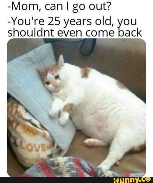 Mom Can I Go Out You re 25 Years Old You Shouldnt Even Come Back IFunny