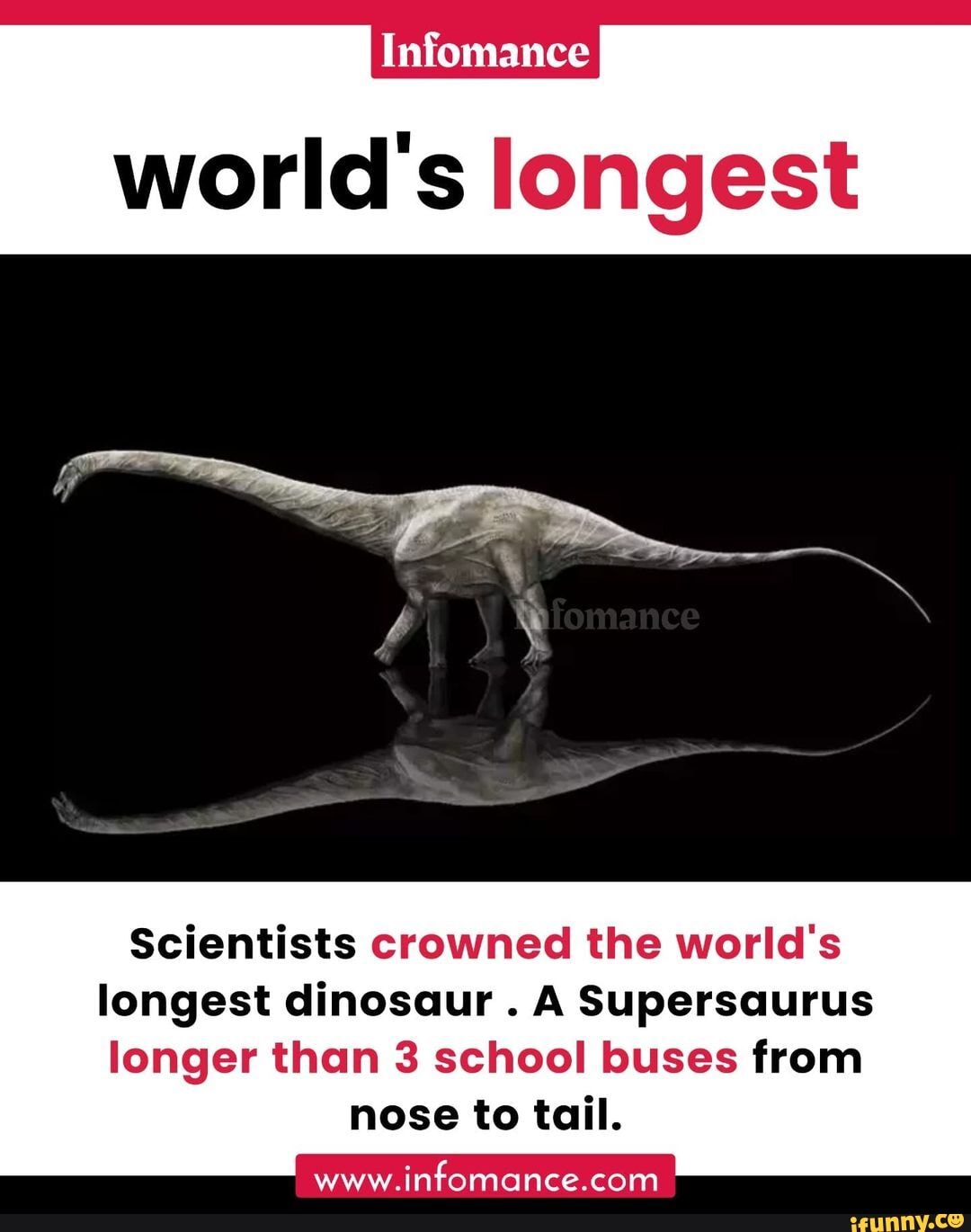 Infomance World's Longest Scientists Crowned The World's Longest ...