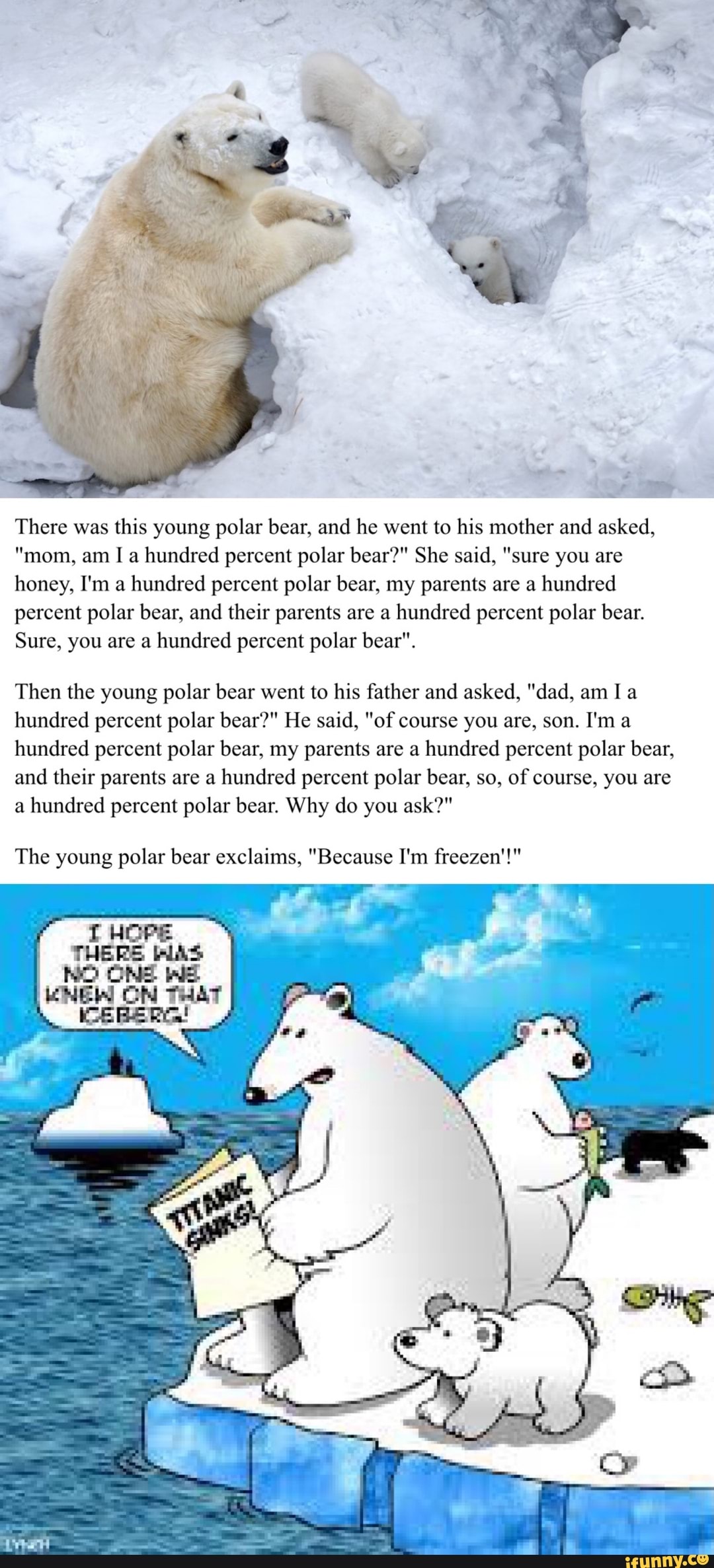 There was this young polar bear, and he went to his mother and asked ...