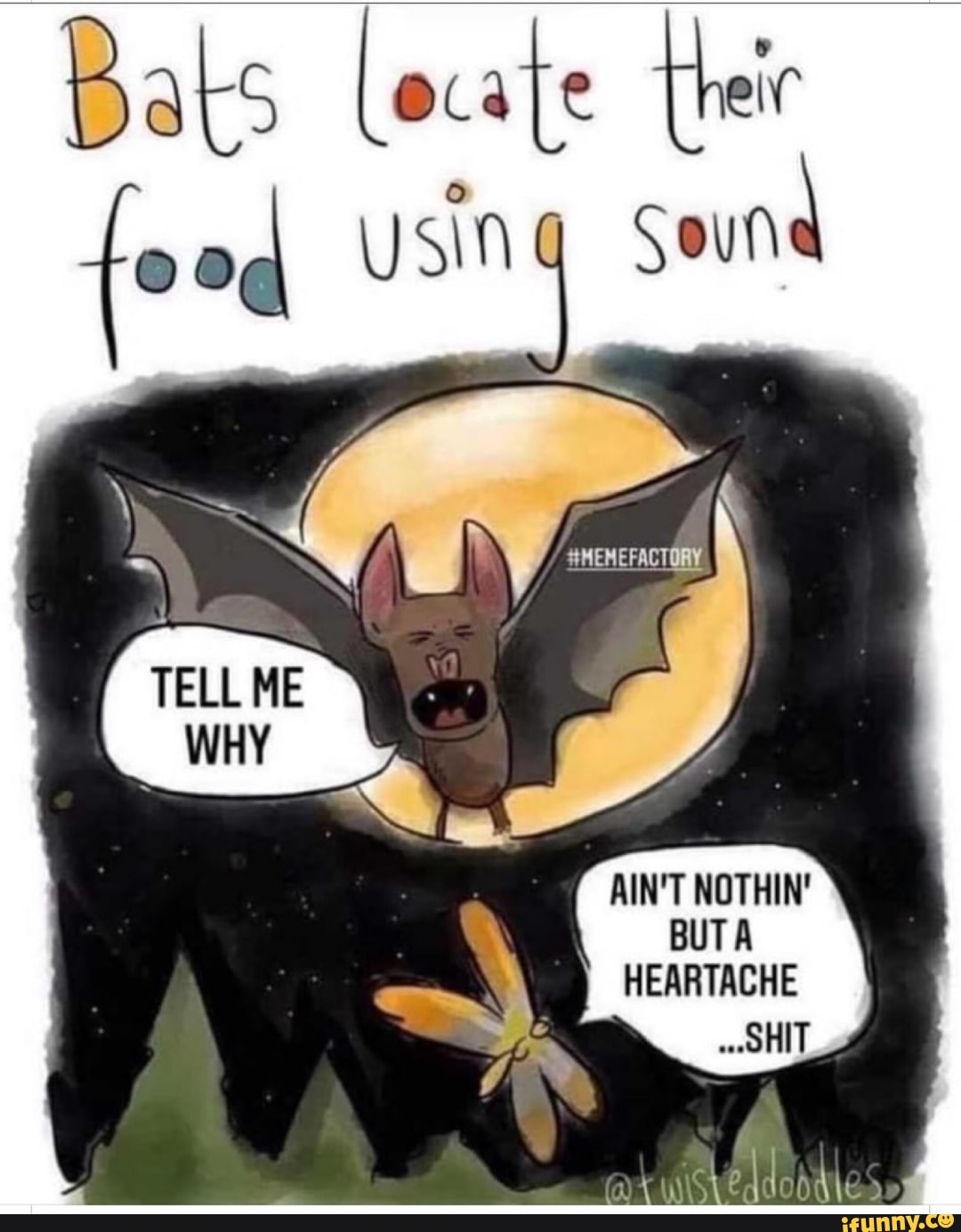 Bats Locate Food Ysing Soun Ain't Nothin' Buta Heartache Shit - Ifunny