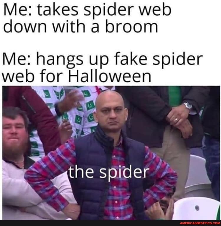 Me: takes spider web down with a broom
Me: hangs up fake spider web for Halloween
the spider