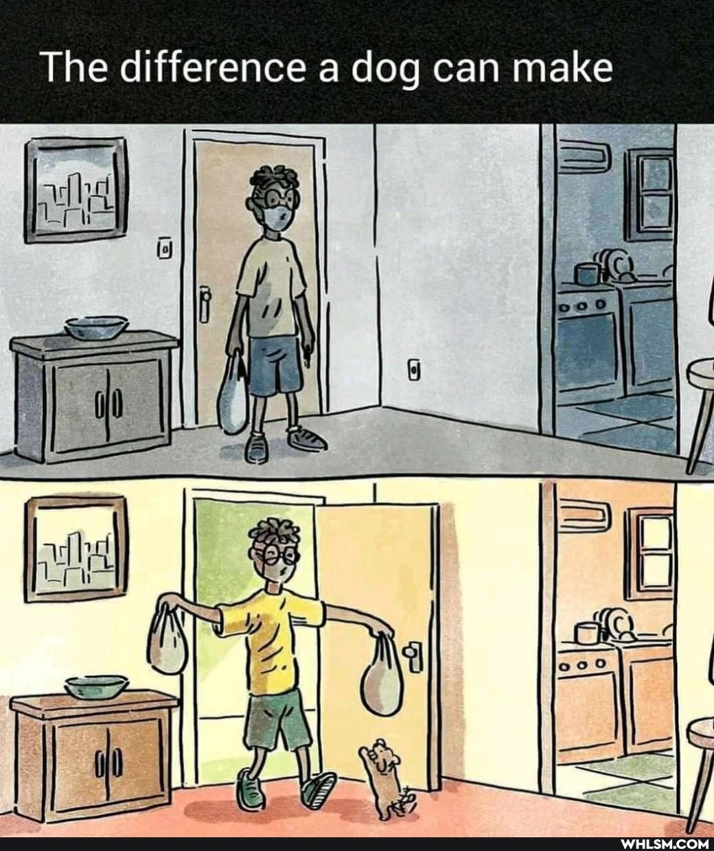 The difference a dog can make