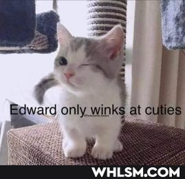 only _wint