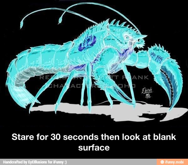 Stare for 30 seconds then look at blank
surface - Stare for 30 seconds then look at blank surface