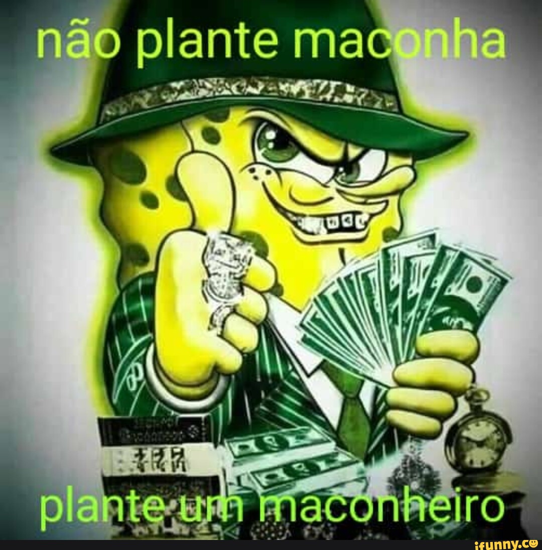 Bob esponja maconheira