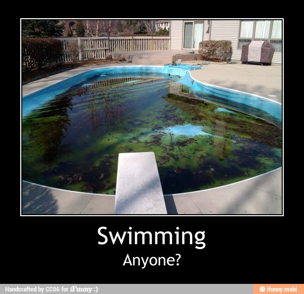 Swimming
Anyone? - Swimming
Anyone?