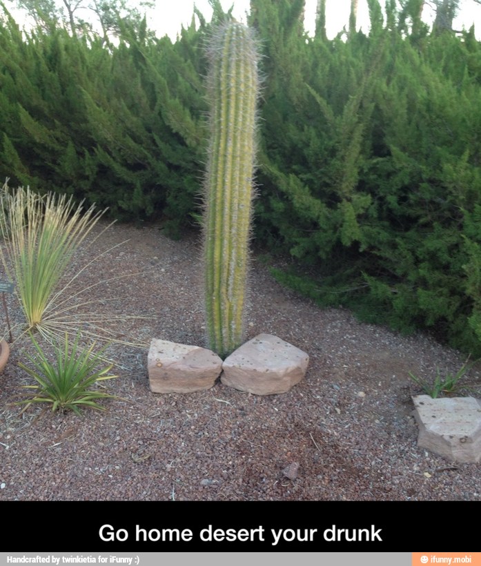 Go home desert your drunk - Go home desert your drunk