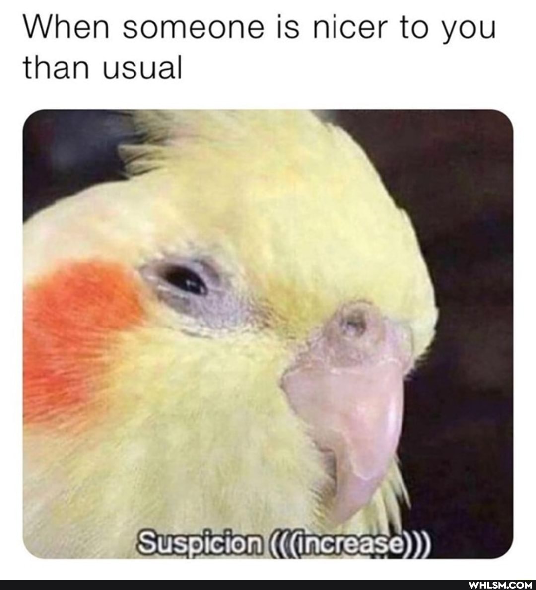 When someone is nicer to you than usual