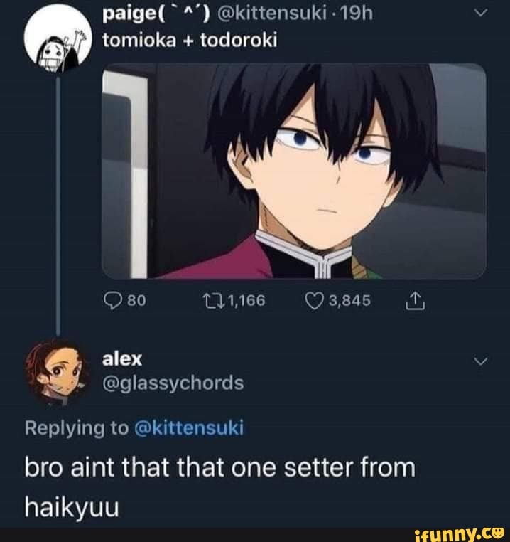 paige( @kittensuki tomioka + todoroki
80 TlL1,166 O3846 alex v
@glassychords
aS Replying to @kittensuki bro aint that that one setter from haikyuu