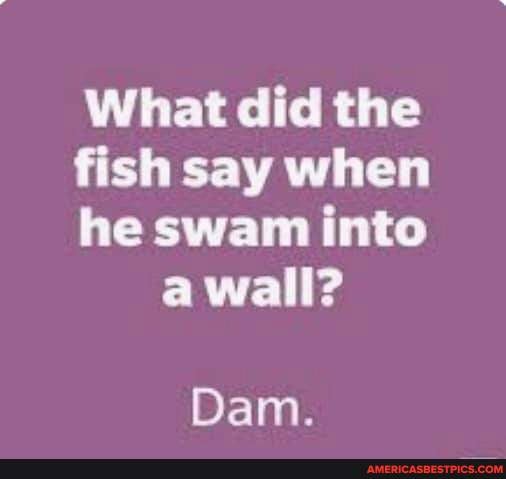 What did the fish say when he swam into a wall? Dam. - America’s best ...