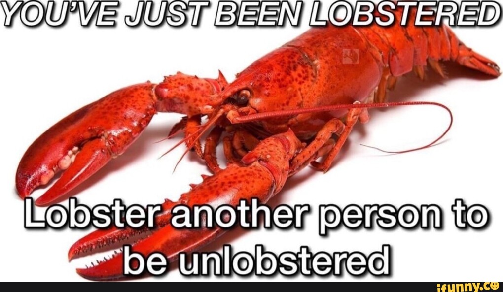 Lobstered memes. Best Collection of funny Lobstered pictures on iFunny