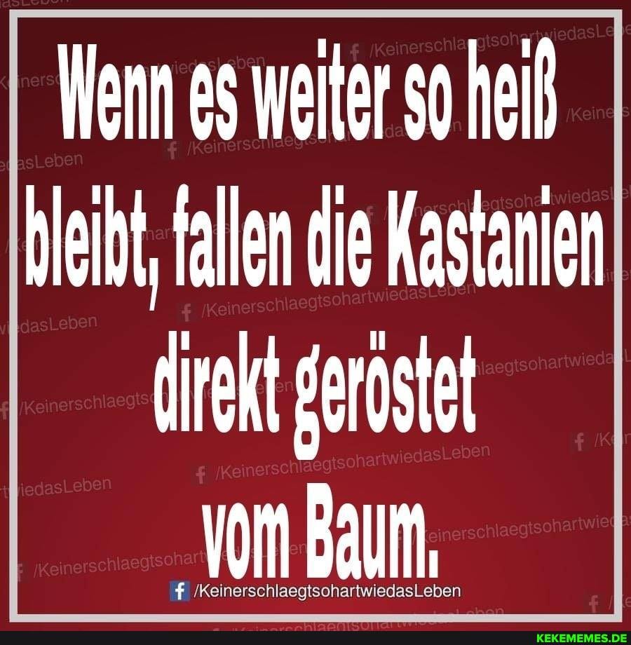 Wenn es weiter so hei heit, fallen die Kastanien geröstet
'Vom Baum