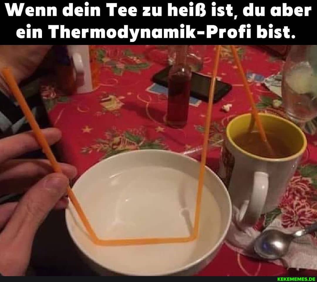Wenn dein Tee zu heiß ist, du aber ein Thermodynamik-Profi bist.