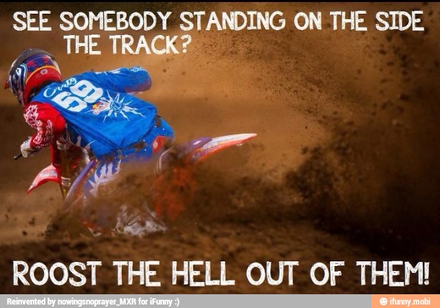 ROOST THE HELL OUT OF THEM!