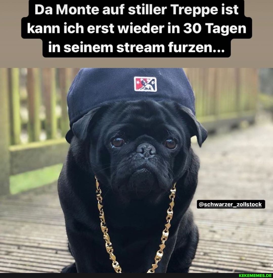 Da Monte auf stiller Treppe ist kann ich erst wieder in 30 Tagen in seinem stream furzen...