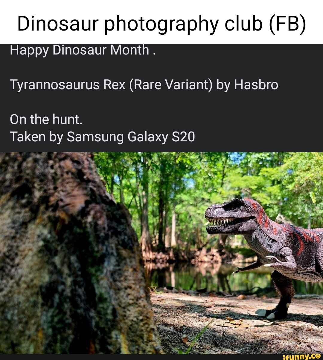 Dinosaur photography club (FB) Happy Dinosaur Month . Tyrannosaurus Rex