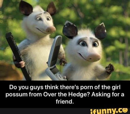 Over The Hedge Porn - Do you guys think there's porn of the girl possum from Over the Hedge?  Asking for