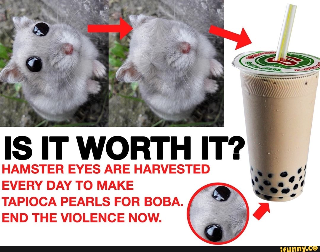 IS IT WORTH IT? HAMSTER EYES ARE HARVESTED EVERY DAY TO MAKE TAPIOCA