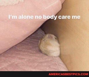 alone ne hody care me