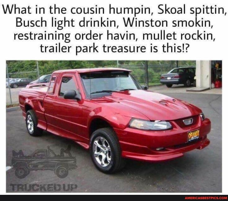 What in the cousin humpin, Skoal spittin,
Busch light drinkin, Winston smokin, restraining order havin, mullet rockin,
trailer park treasure is this!?
SS
