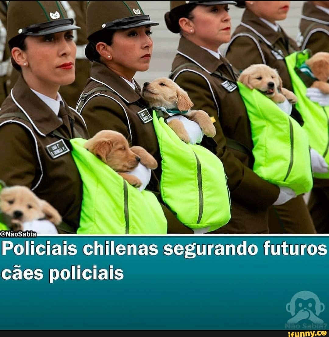 ENãoSabial
Policiais chilenas segurando futuros cães policiais